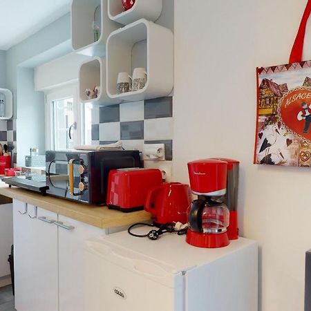 Studio Avec Parking Rue De La Semm كولمار المظهر الخارجي الصورة