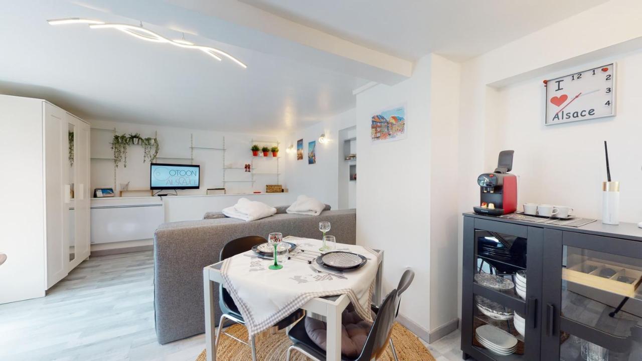 Studio Avec Parking Rue De La Semm كولمار المظهر الخارجي الصورة